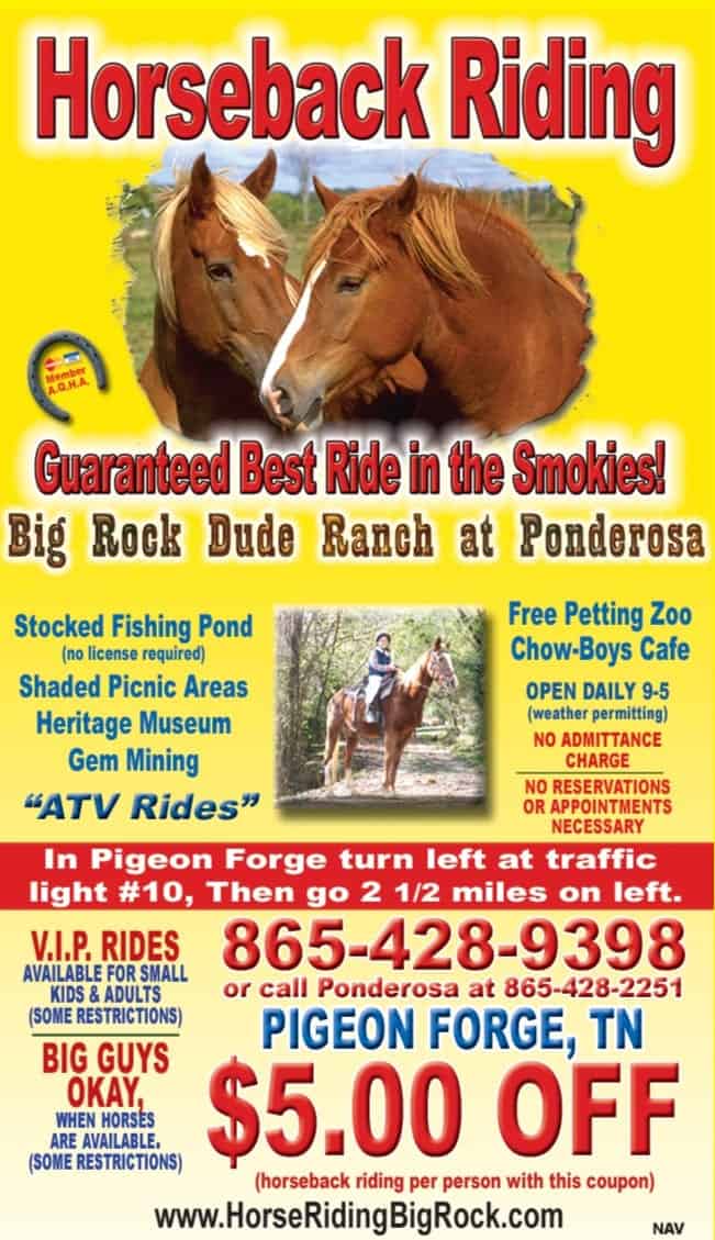 Lazerport pigeon forge coupons