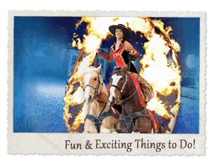 Fun and exciting things to do