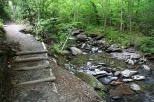 Hiking Trail in the Great Smoky Mountains