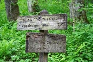 Appalachian Trail sign with directions to Chimney Tops