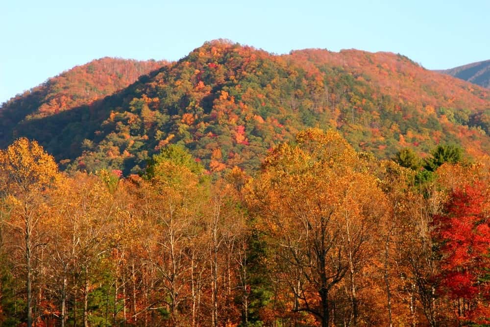 Top 5 Places To Take Pictures of Smoky Mountains Fall Colors