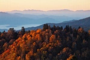 Amazing fall colors in the Smoky Mountains.
