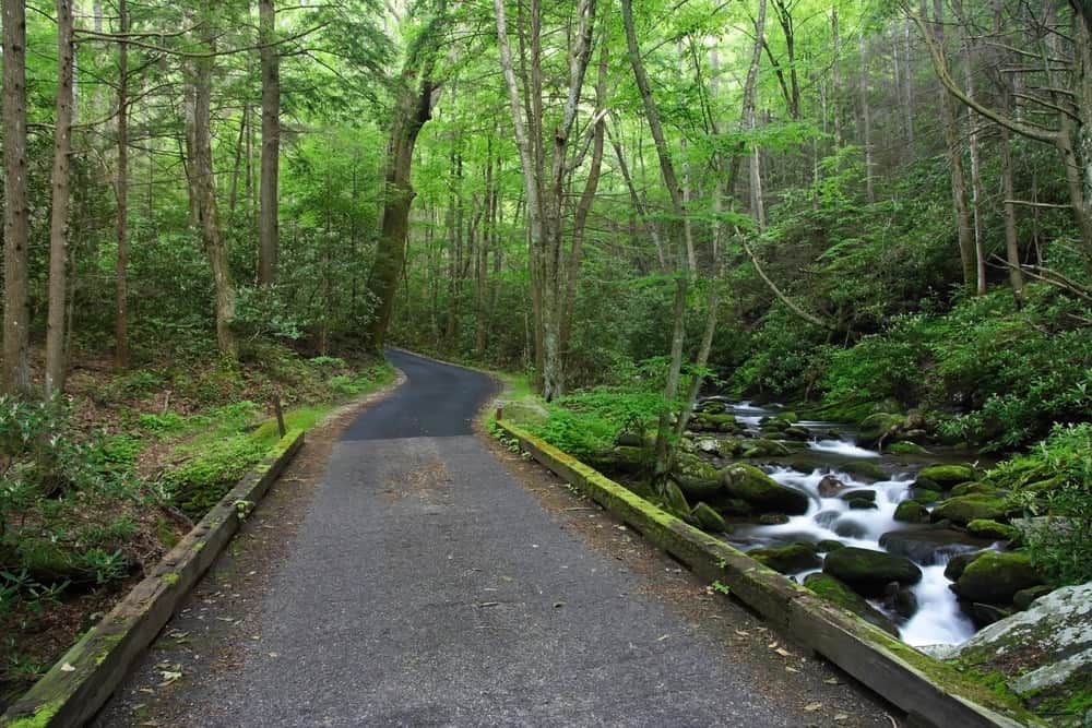 All About Roaring Fork Smoky Mountains & the Motor Nature Trail