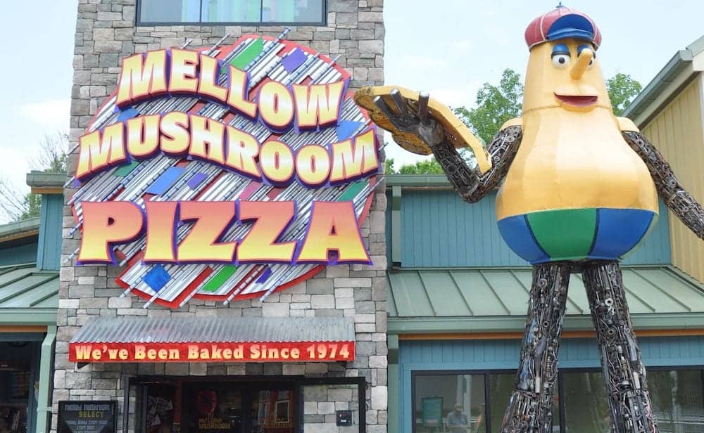 mellow mushroom at the island in pigeon forge