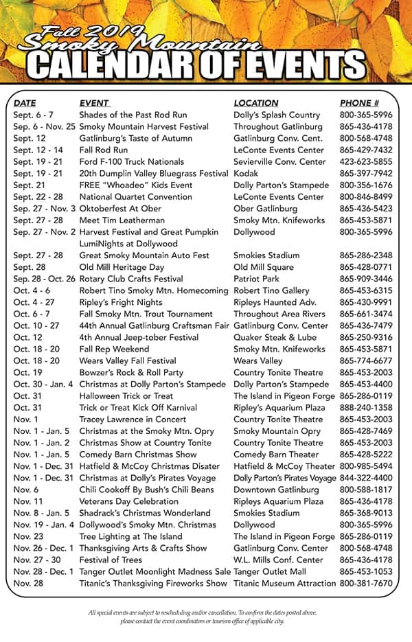 All Pigeon Photo Download