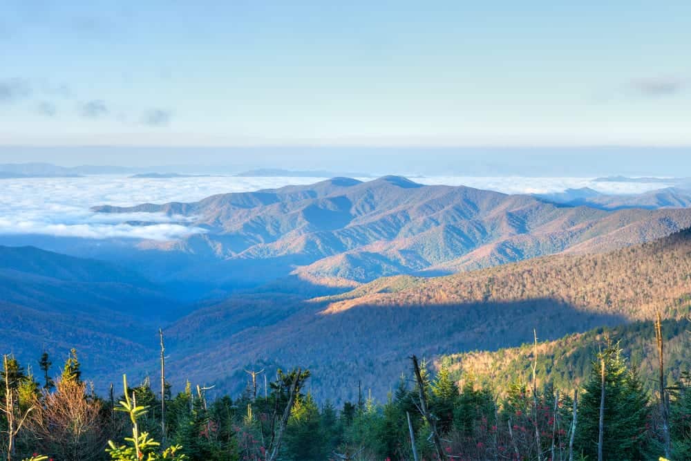 Top 4 Scenic Drives in the Smoky Mountains You Should Experience