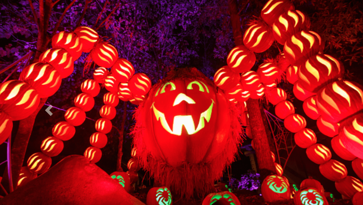 Halloween in Gatlinburg the Top 5 Places to Scare up Some Fun
