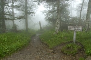 Smoky Mountain Hiking Trail