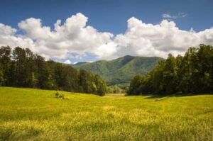 A stunning spring day in Cades Cove in the Smoky Mountains.