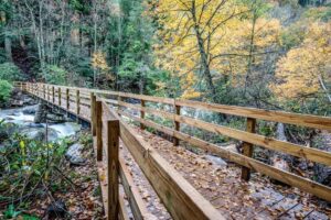 Bridge in the Great Smoky Mountains National Park covered in fall leaves.