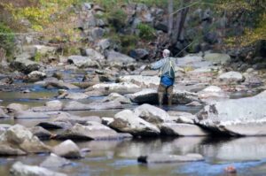 Fly fishing in Smoky Mountain stream