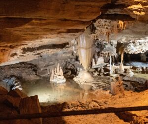 Stalagmites and stalactites at Forbidden Caverns