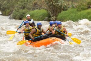 Group whitewater rafting during spring in the Smoky Mountains.