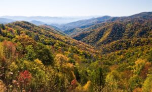 Incredible photo of the Smoky Mountains during the fall.