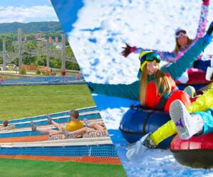 Rowdy Bear Mountain Snowpark