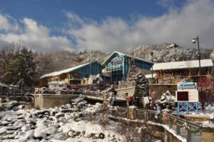 Ripley's Aquarium of the Smokies in Gatlinburg during the winter.