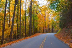 Scenic road with Smoky Mountain fall colors.