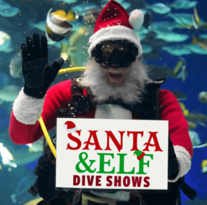 scuba santa