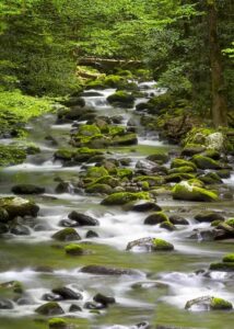 Smoky Mountain stream near Gatlinburg hotel