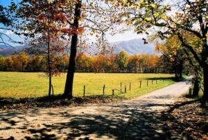 Spectacular view of the Smoky Mountains fall colors in Cades Cove.