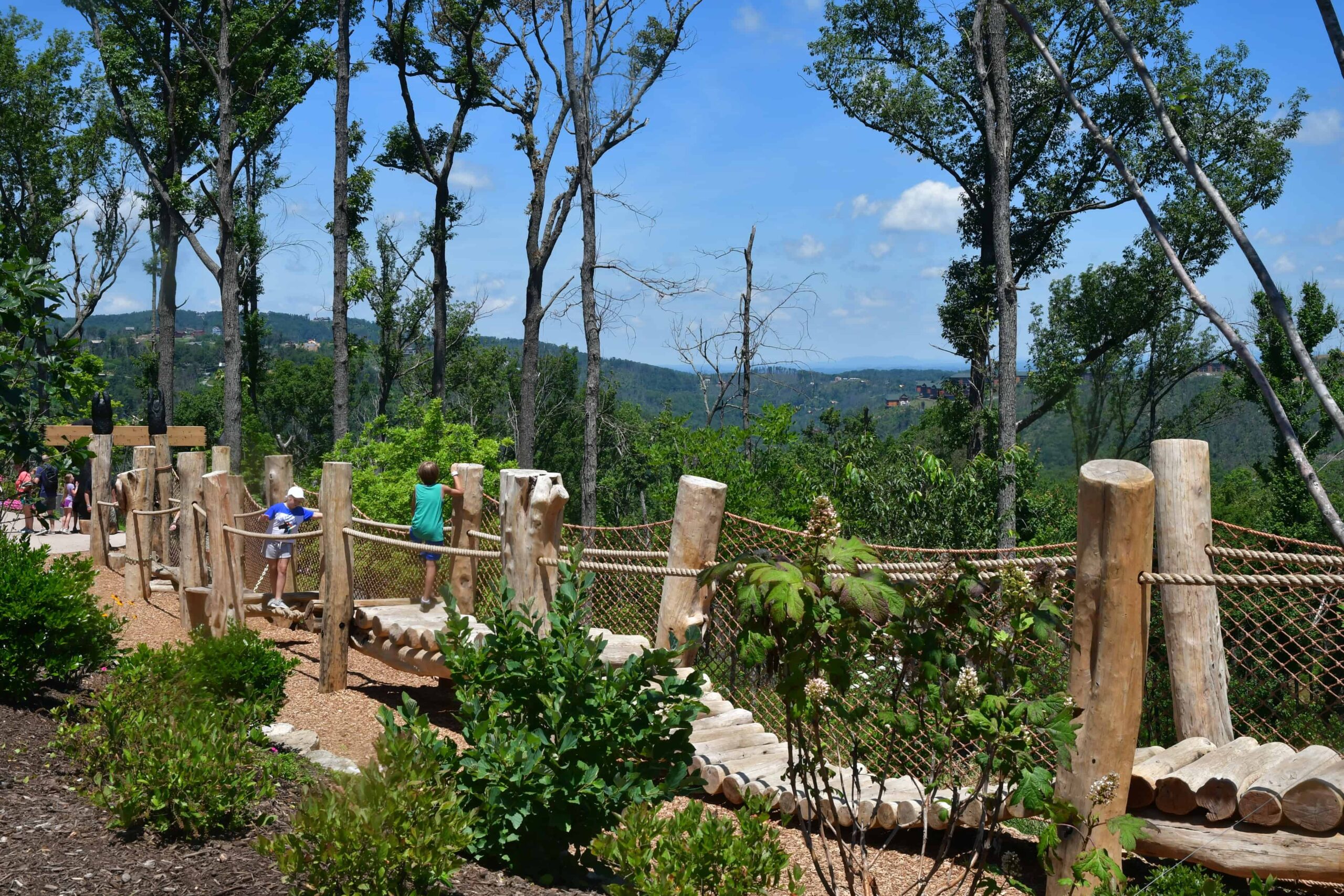 bridge at anakeesta for kids to play on