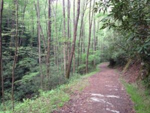 Smoky Mountain Hiking Trail
