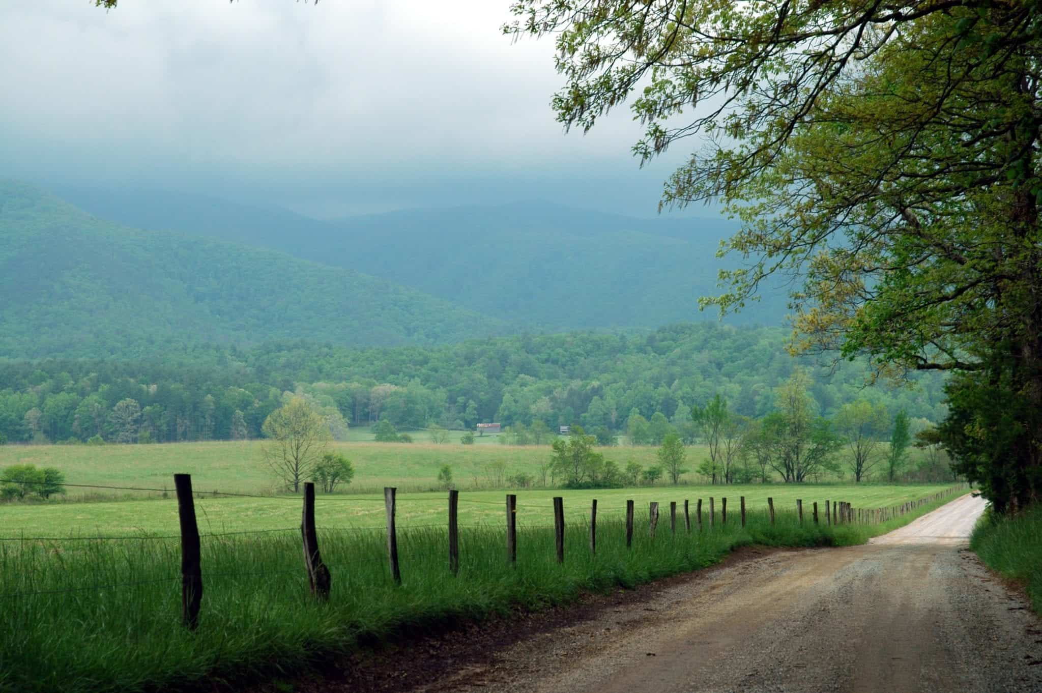 Cades Cove Loop Road | Cades Cove Loop in the Smoky Mountains