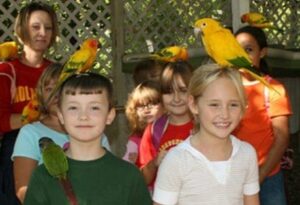 kids smiling at parrot mountain in pigeon forge