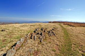 Gregory Bald Trail in the Smoky Mountains