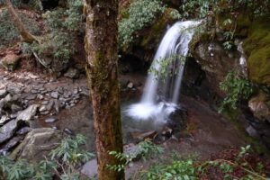 grotto falls smoky mountains