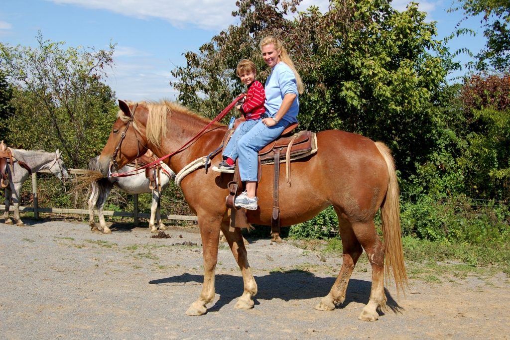 A woman and a child are riding the horse at Smoky Mountain Deer Farm
