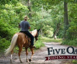 Man in a hat is riding a horse at Five Oaks Riding Stables