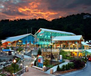 Ripley’s Aquarium of the Smokies aerial view