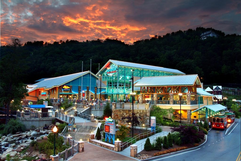 Ripley’s Aquarium of the Smokies aerial view