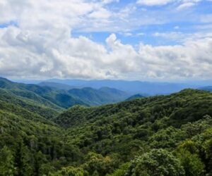 panoramic view at The Great Smoky Mountains