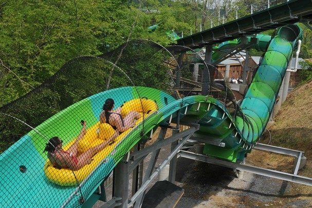 people riding water tube