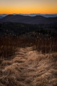 Middle Prong Hiking Trail in the Smoky Mountains