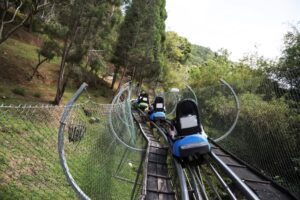 smoky mountain coaster