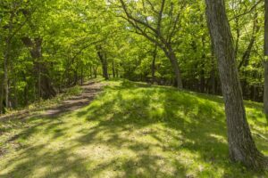 A Native American mound in a forest