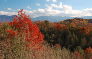 smoky mountains fall