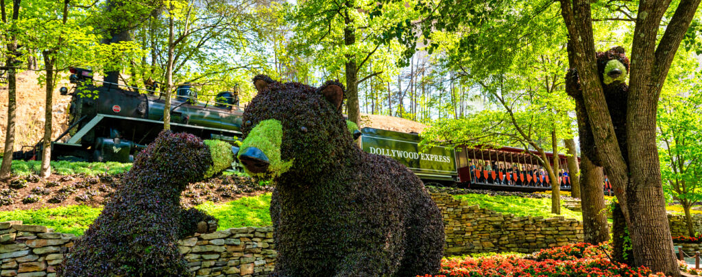 Dollywood Bears