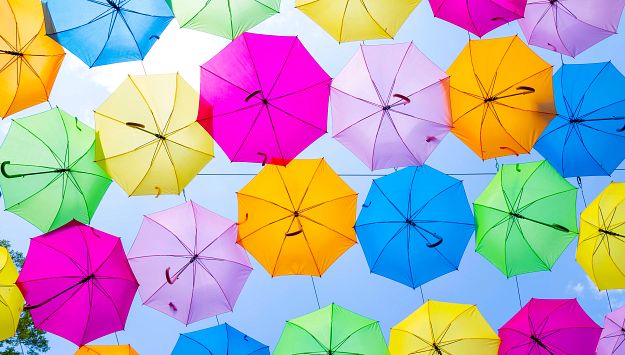 dollywood umbrellas