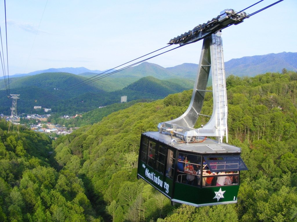 Things To Do in The Smokies in December