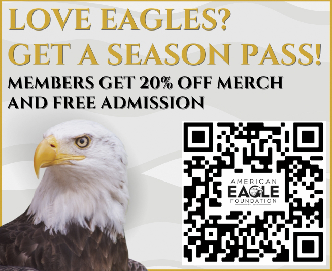 American Eagle Foundation Coupon